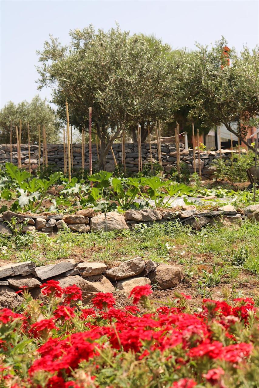 La Rosa Dei Venti Village de vacances *