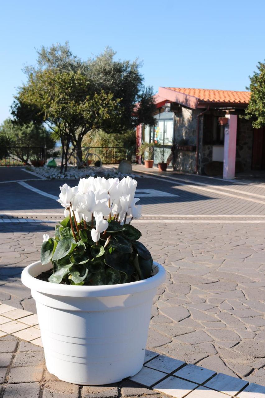 La Rosa Dei Venti
